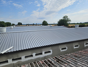 Výměna střešní krytiny na hale výkrmu prasat